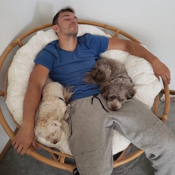 Meet your Posher, Dakota - Picture 8 of 8